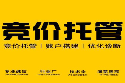信息流竞价竞争策略：成功案例解析